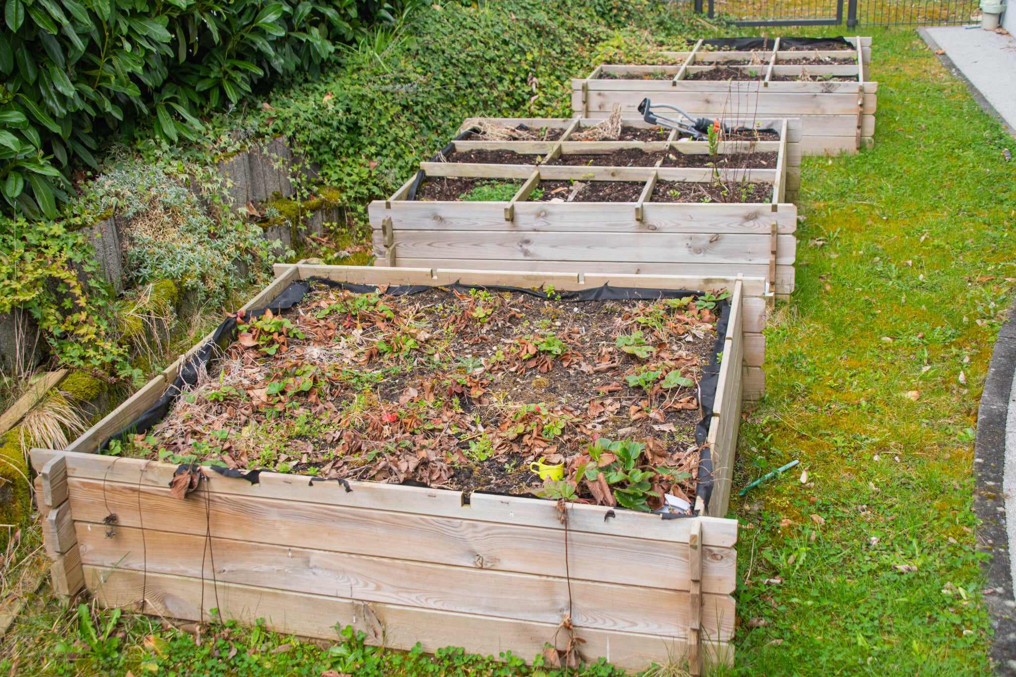 Brouch nursery - outdoor area 4