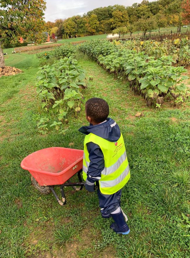 Discovery activities at Les Petits Tournesols
