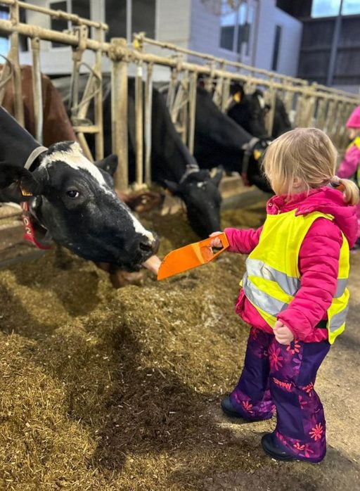 Aktivitäten in der Kita
